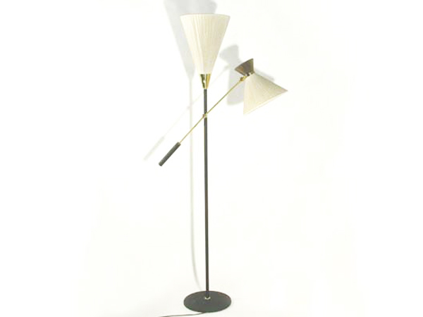 Adjustable floor Lamp