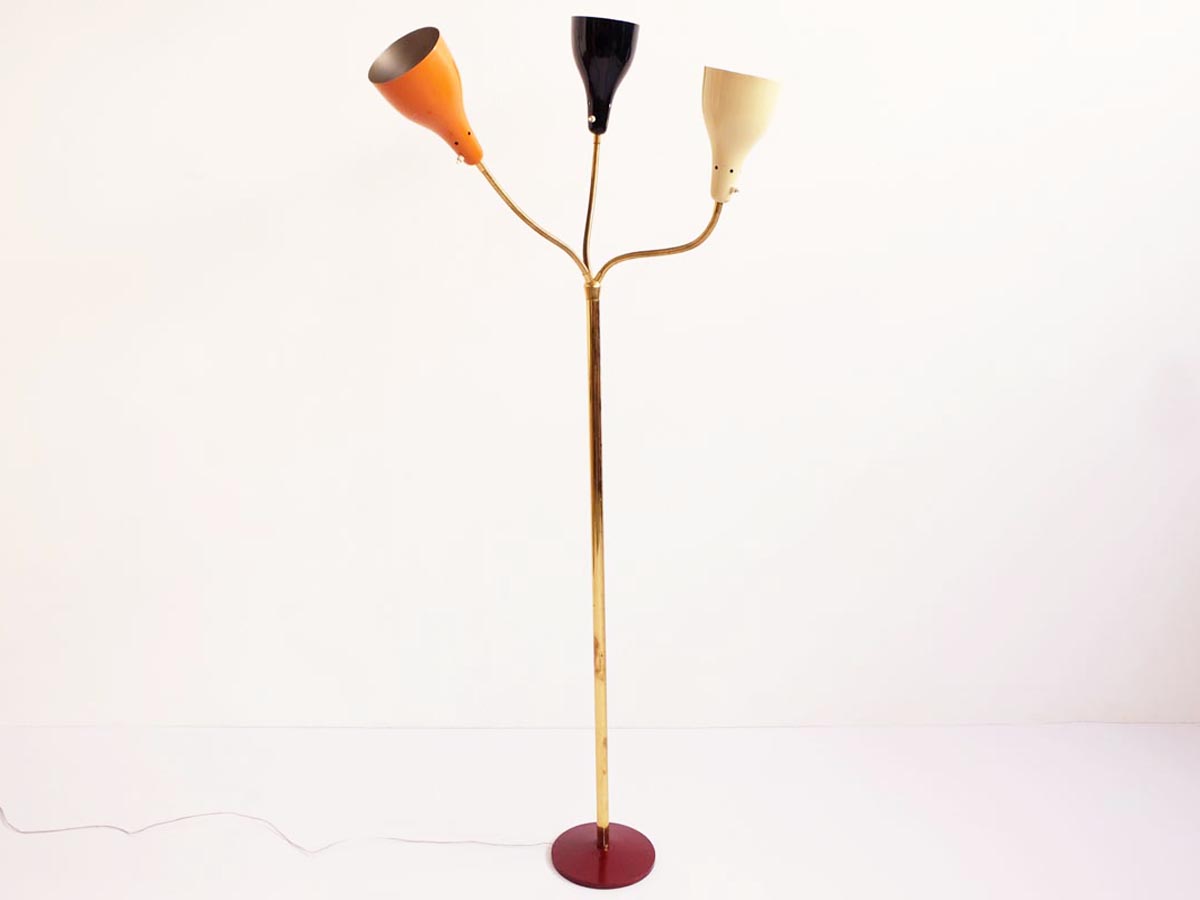 Adjustable floor Lamp