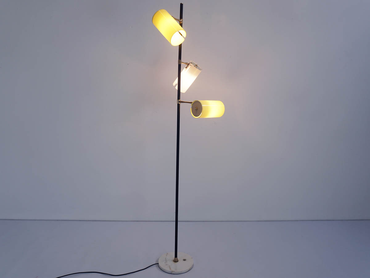 Adjustable floor lamp