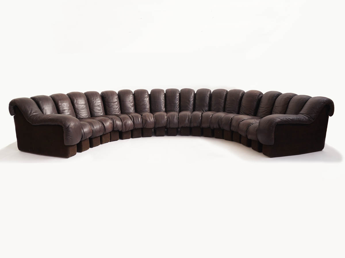 Serpentone-Sofa Mod. DS-600 Organisch