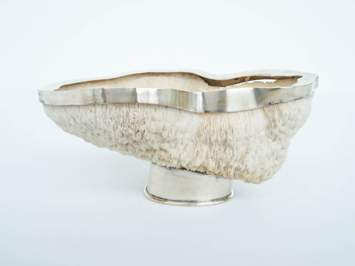 Silver bowl made from white coral