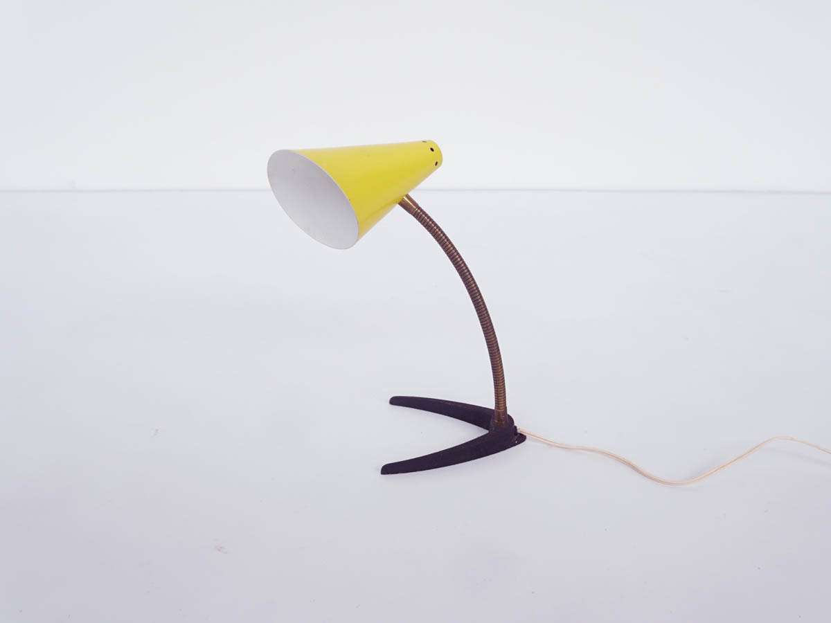 Adjustable Table Lamp or Wall Lamp