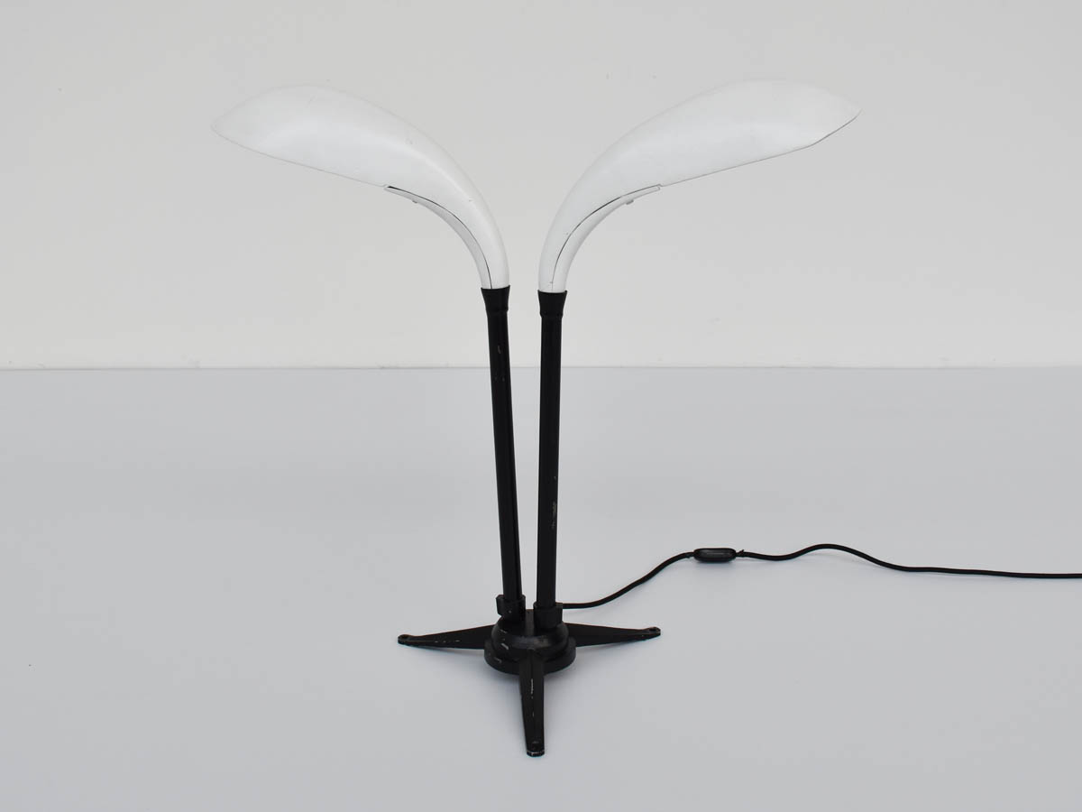 Table Lamp with Double Adjustable Lighting