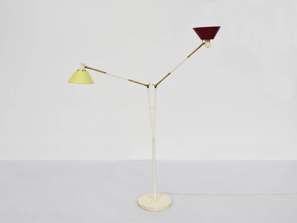 Floor Lamp with Two Fully Adjustable Arms