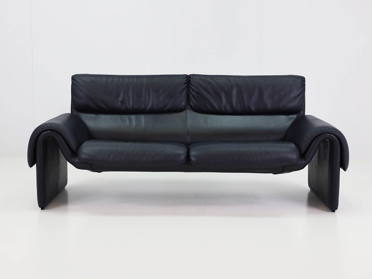Two Seather Sofa in Dark Blue Leather model DS2011-2